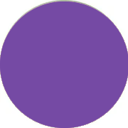 Purple Bridesmaid Dresses Newcastle