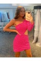 Long Sleeves One Shoulder Velvet Sequin Sheath Evening Gowns Newcastle