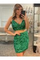 Sleeveless V-Neck Velvet Sequin Sheath Formal Dress Newcastle